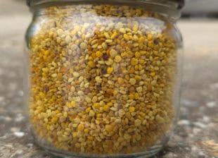 cvetni polen granule