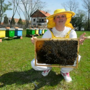 pčelarka karoloina miladinovic,homoljski med