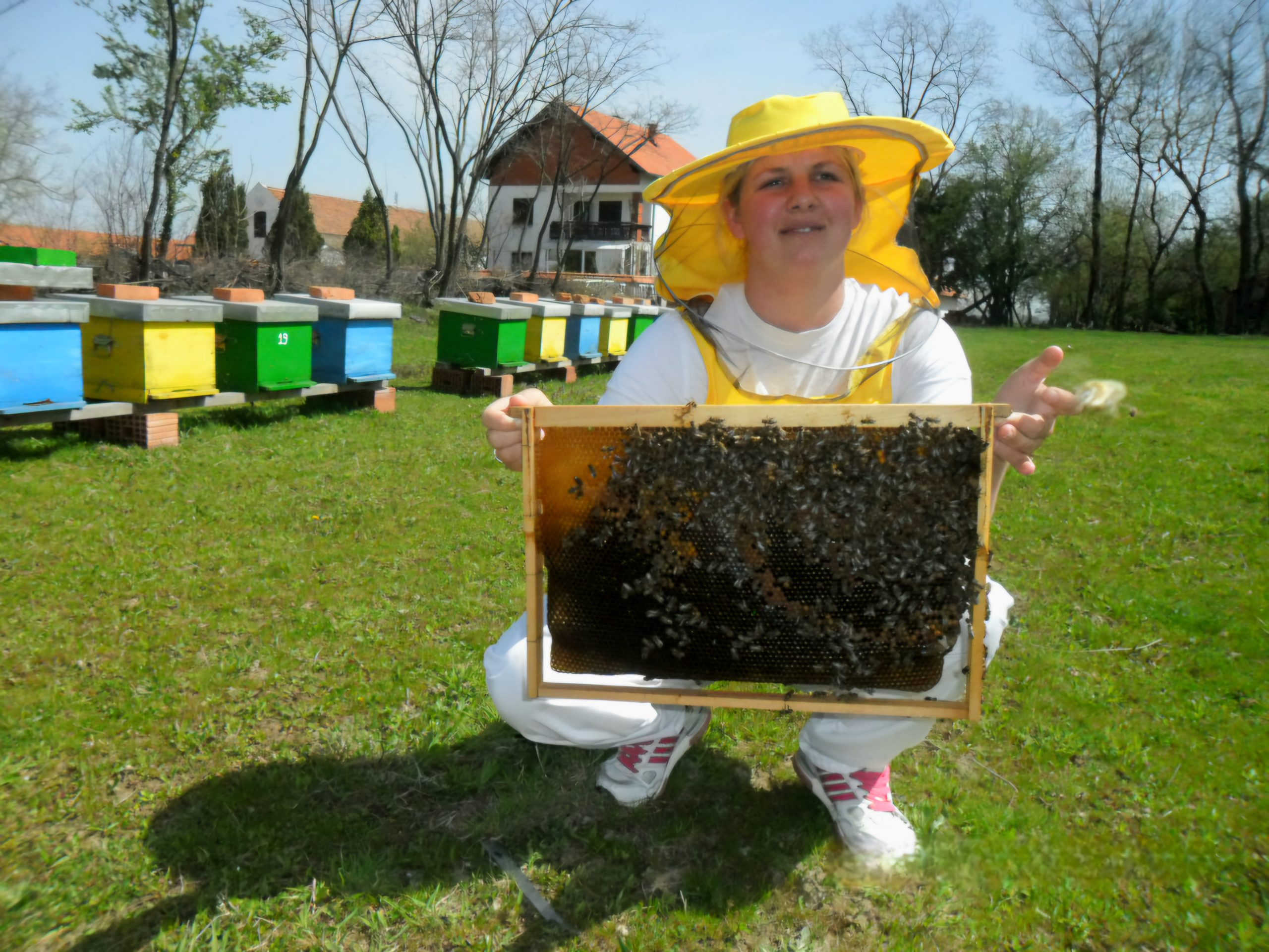 pčelarka karoloina miladinovic,homoljski med
