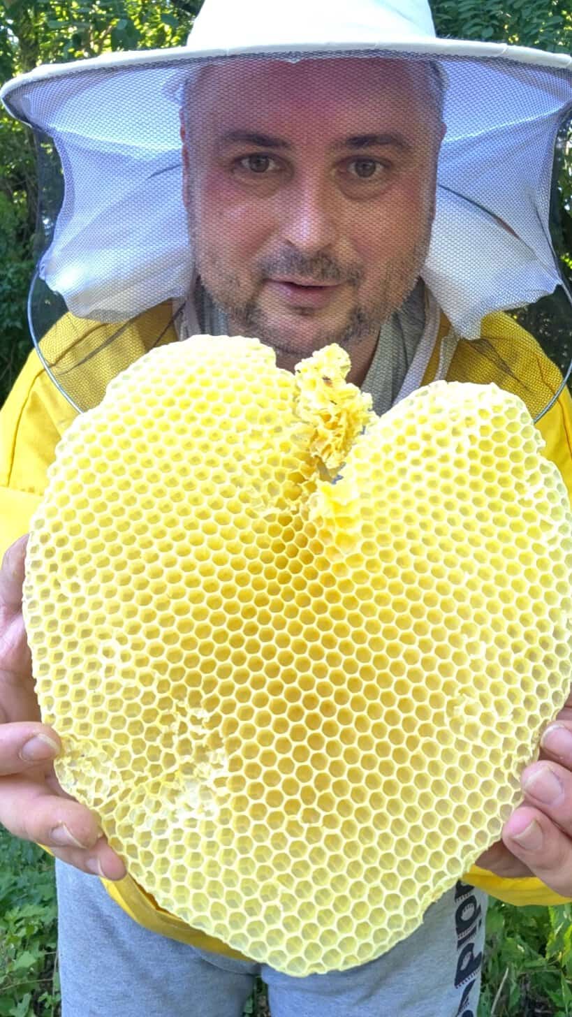 Čist pčelinji vosak od devičanskog saća, 100 g - Slika 2