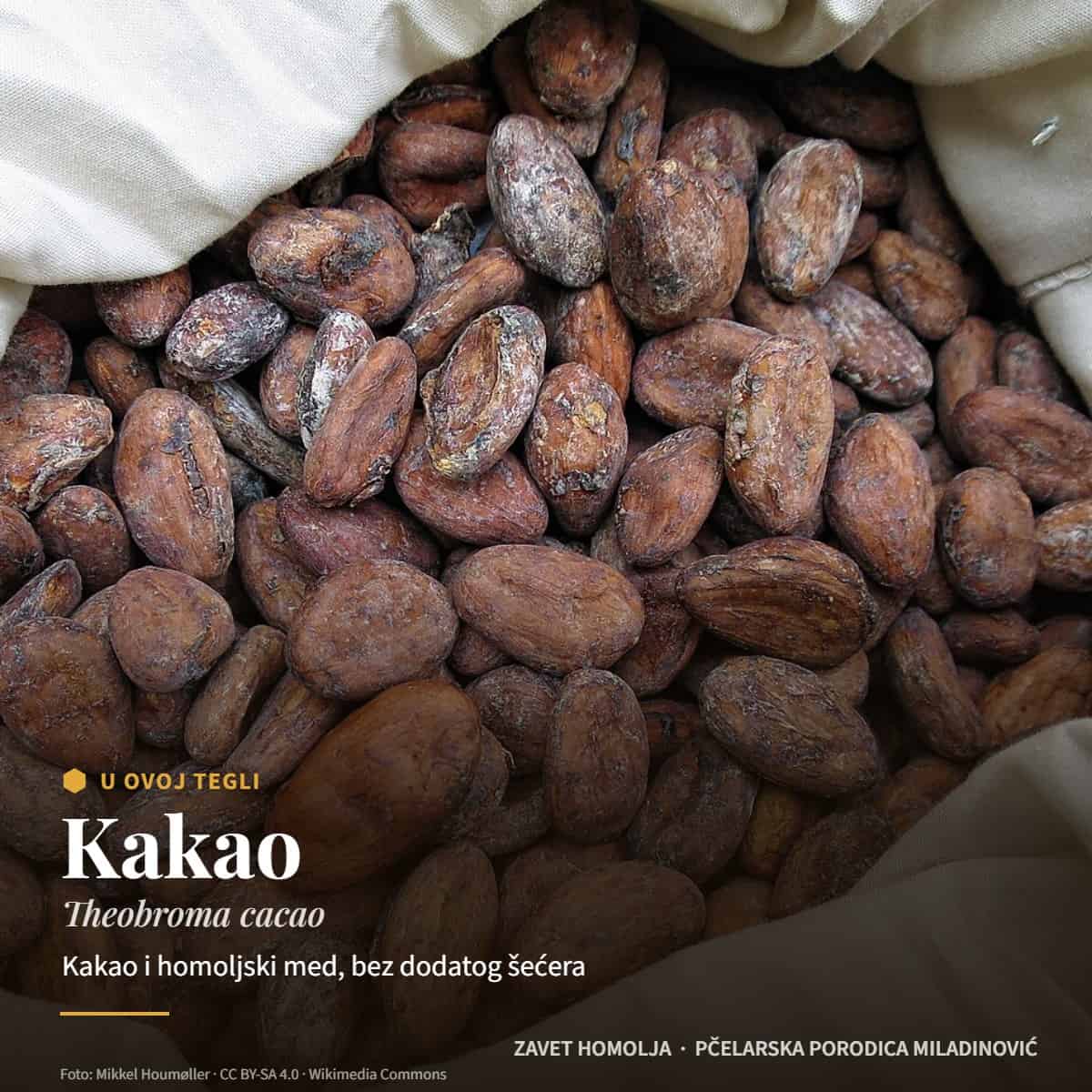 Kakao (Theobroma cacao) — Domaća Nutela bez šećera