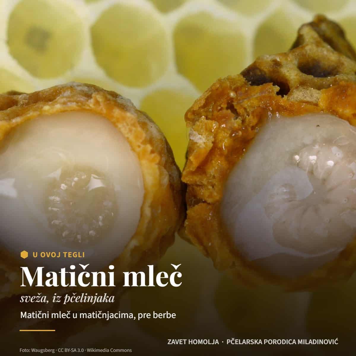 Matični mleč (sveža, iz pčelinjaka) — Matični mleč