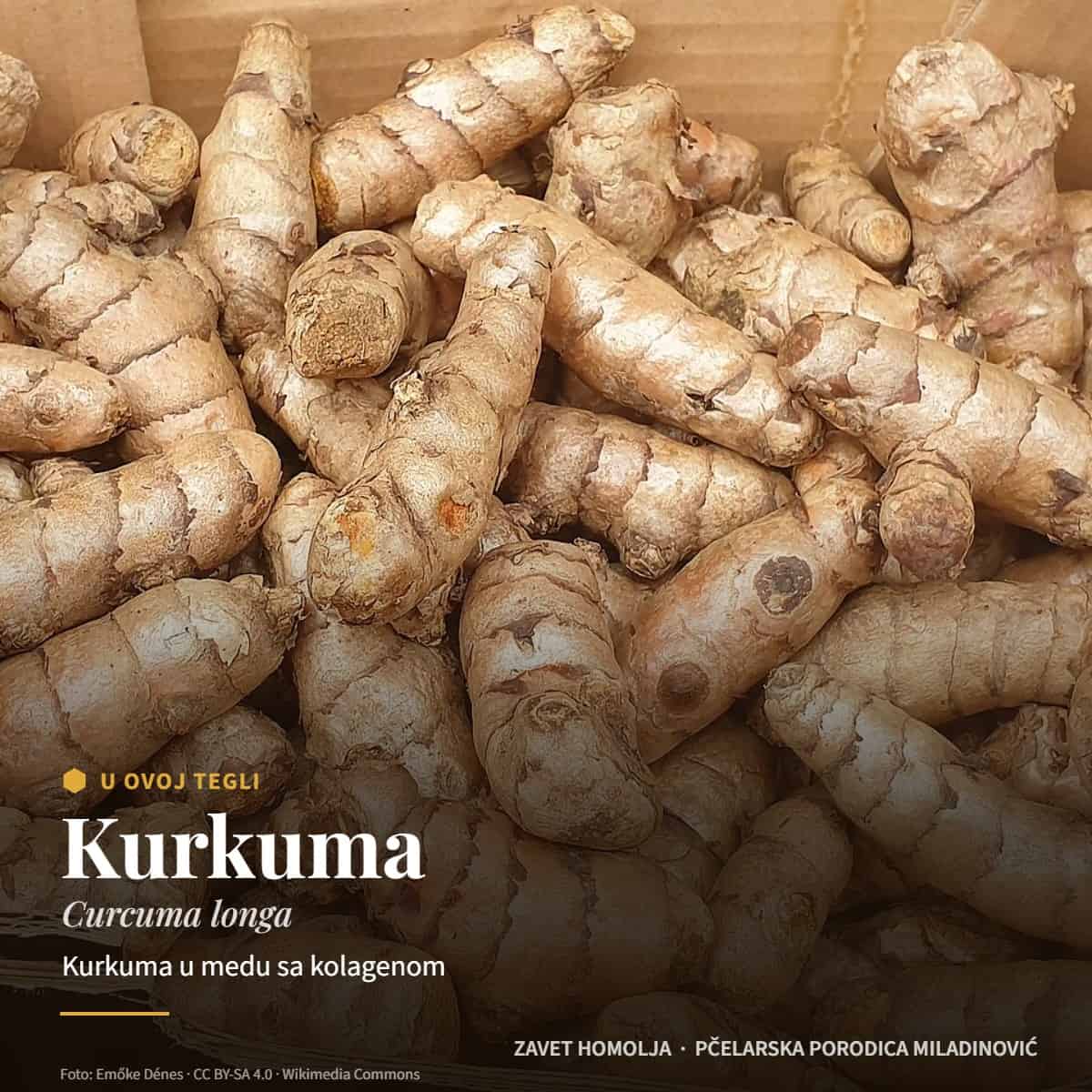 Kurkuma (Curcuma longa) — Med sa kolagenom, kurkumom i đumbirom