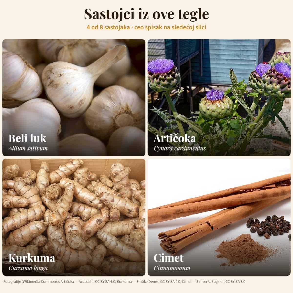 Sastojci: Beli luk, Artičoka, Kurkuma, Cimet — Med za holesterol i trigliceride