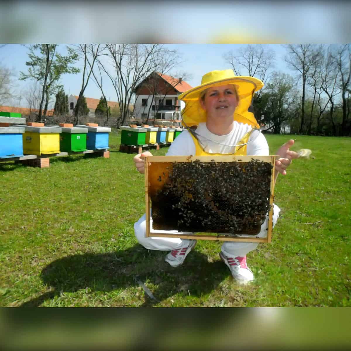 pčelarka karoloina miladinovic,homoljski med